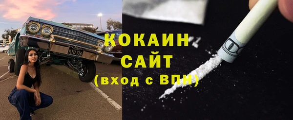 индика Алексин