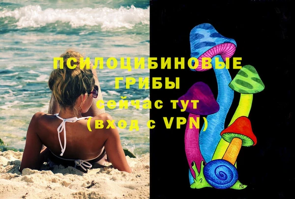 прущие крисы Аркадак