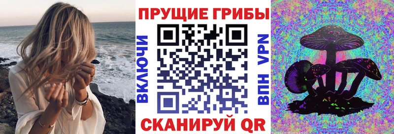 Псилоцибиновые грибы Psilocybine cubensis  Усть-Лабинск 